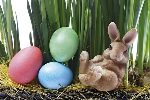 Easter bunny with Easter eggs sitting between daffodil stalks