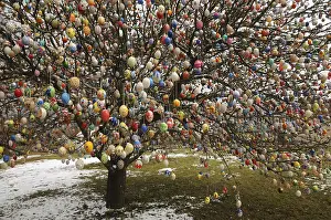 Easter egg tree, Germany