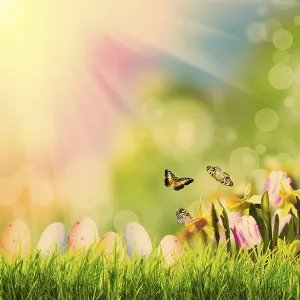 Easter greetings with grass over spring bokeh and sunlight
