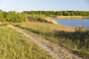 Eastern shore of Lake Werbelin