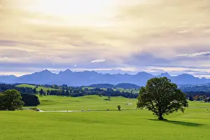 At the Egg viewpoint, in the background Ammergau and Allgaeu Alps