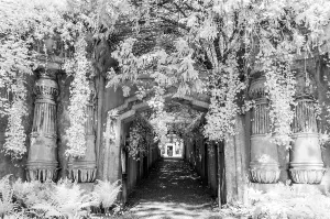 Egyptian Avenue Gangway in Highgate Cemetery West