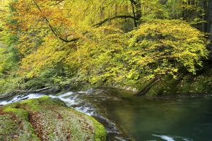 The Eistobel nature reserve, a gorge of the Obere Argen river