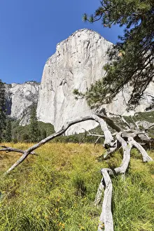 El Capitan, Vosemity Valley, Yosemite National Park