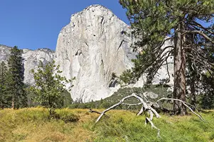 El Capitan, Vosemity Valley, Yosemite National Park