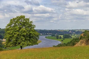 Elbe