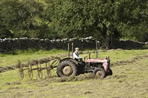 Elderly farmer in old Ferguson tractor with acrobat