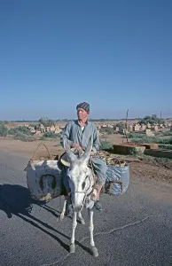 Elderly man on donkey, tourism centre Mut 3