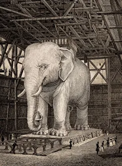 The Elephant of the Bastille, Paris