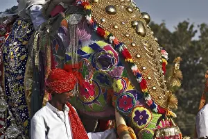 Elephant Decoration, Elephant Festival 2004