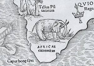 Elephant, detail, earliest printed map of the entire African continent