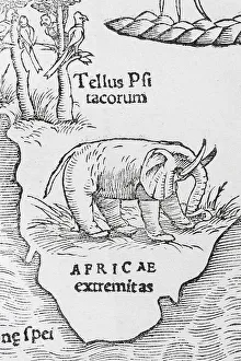 Elephant, detail, earliest printed map of the entire African continent