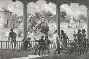 Elephant fight, Baroda, India, Asia