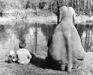 Elephant fishing, England, Great Britain