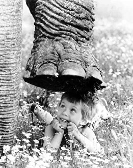 Elephant foot over child, England, Great Britain