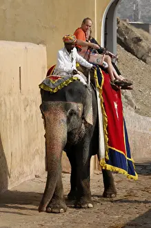 Elephant ride to Amber Palace, Rajasthan