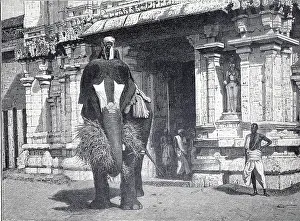 Elephant with rider in front of a temple in northern India