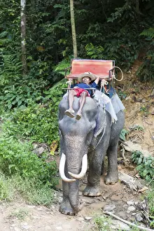 Elephant safari, Thai man asleep