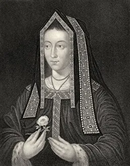 Elizabeth of York, 1466-1503, queen consort of England