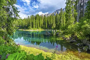 Category Mountain Landscapes Prints: Emerald waters of lake carezza reflecting surrounding fir trees