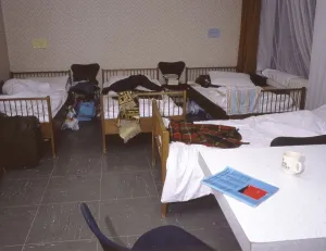 Emergency accommodation for students