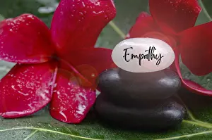 Empathy text engraved on white zen stones with zen flower background