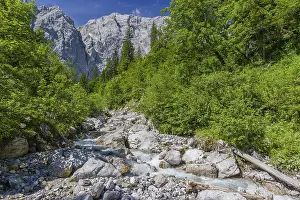 Enger Grund Creek in the Nature conservancy area Grosser Ahornboden
