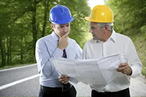 Engineer two expertise team plan talking hardhat forest road