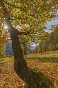 Engtal, Grosser Ahornboden, Karwendel Mountains