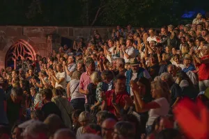 Enthusiastic audience clapping their hands at a night-time outdoor event