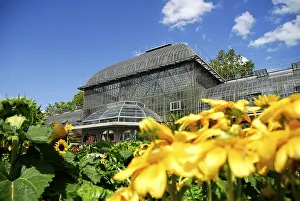 Entrance show house in the Palmengarten