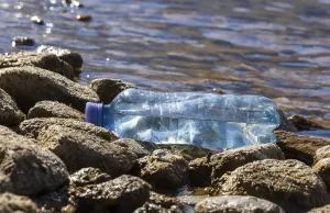 Environmental pollution, Plastic bottle washed up on the lake shore