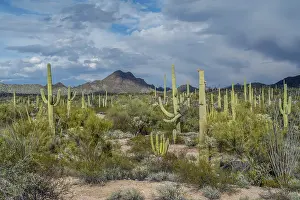 Epic mountain landscape scenery from the walking trail of the preserve park