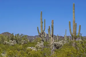 Epic mountain landscape scenery from the walking trail of the preserve park