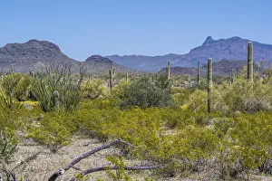 Epic mountain landscape scenery from the walking trail of the preserve park