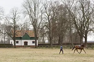 Category Historic EN Prints: Erftstadt, Romerhof stud farm near Lechenich
Erftstadt