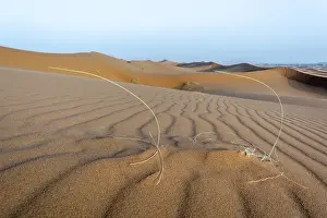 Erg chebbi dunes in morocco