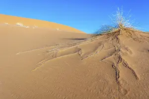 Erg Chebbi, dunes in the sand desert of Merzouga