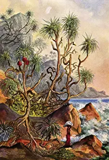 Ernst Heinrich Philipp August Haeckel (February 16)