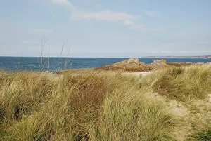 Erquy, Les Hopitaux, 22, A serene coastal scene with grass