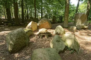Erratic blocks in the Neuenknick erratic block forest in the Teutoburg Forest