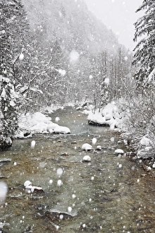 Erzbach brook during snowfall, between Eisenerz and Hieflau