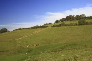 Erzgebirge landscape on the Schwartenberg near Seiffen