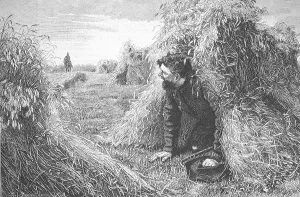 Escaped, a fugitive crook has hidden from the policeman in a sheaf of grain