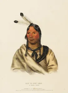 Esh-Ta-Hum-Leah. A Sioux Chief (1838)