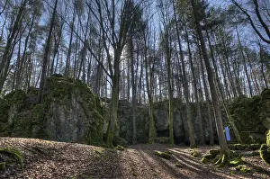 Esper Cave Natural Monument, Leutzdorf
