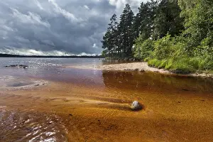 Category Scandinavia Prints: Estuary on the beach of Vitsand