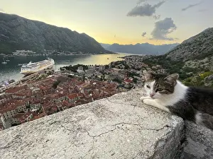 Evening atmosphere, view of the old town of Kotor from above