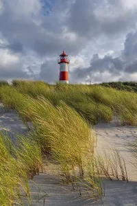 Evening light, red-white lighthouse List-East in the dunes