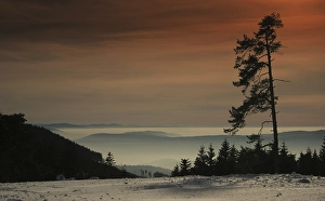 Category Mountain Landscapes Prints: Evening mood